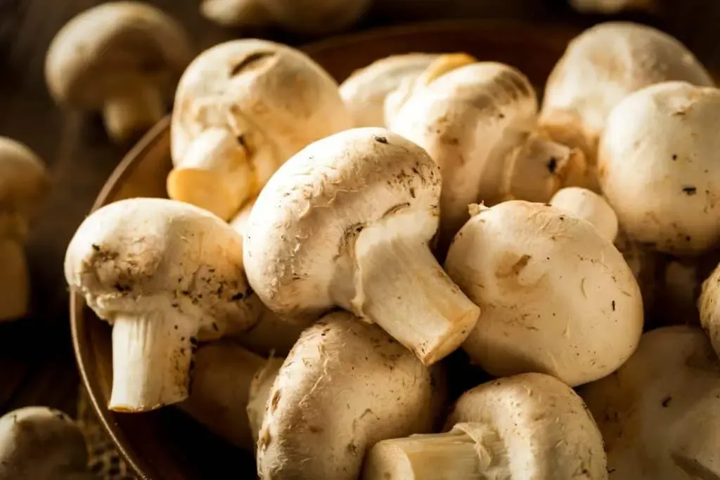 Fresh white button mushrooms in a bowl.