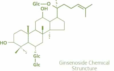ginsenoside chemical structure
