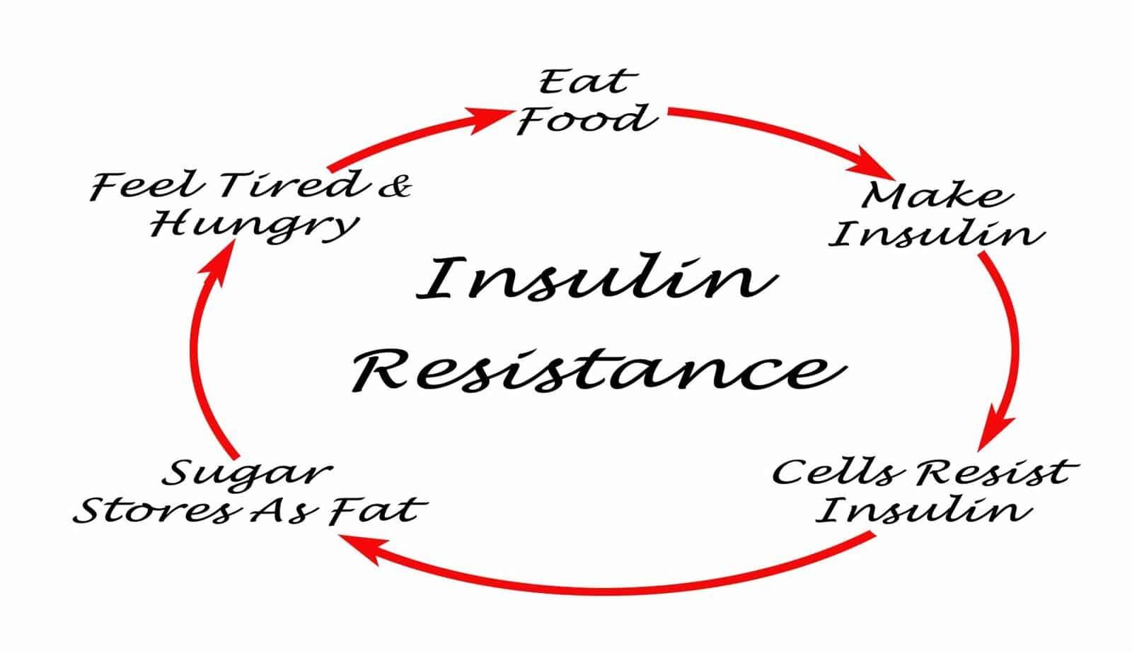 fasting insulin test insulin resistance