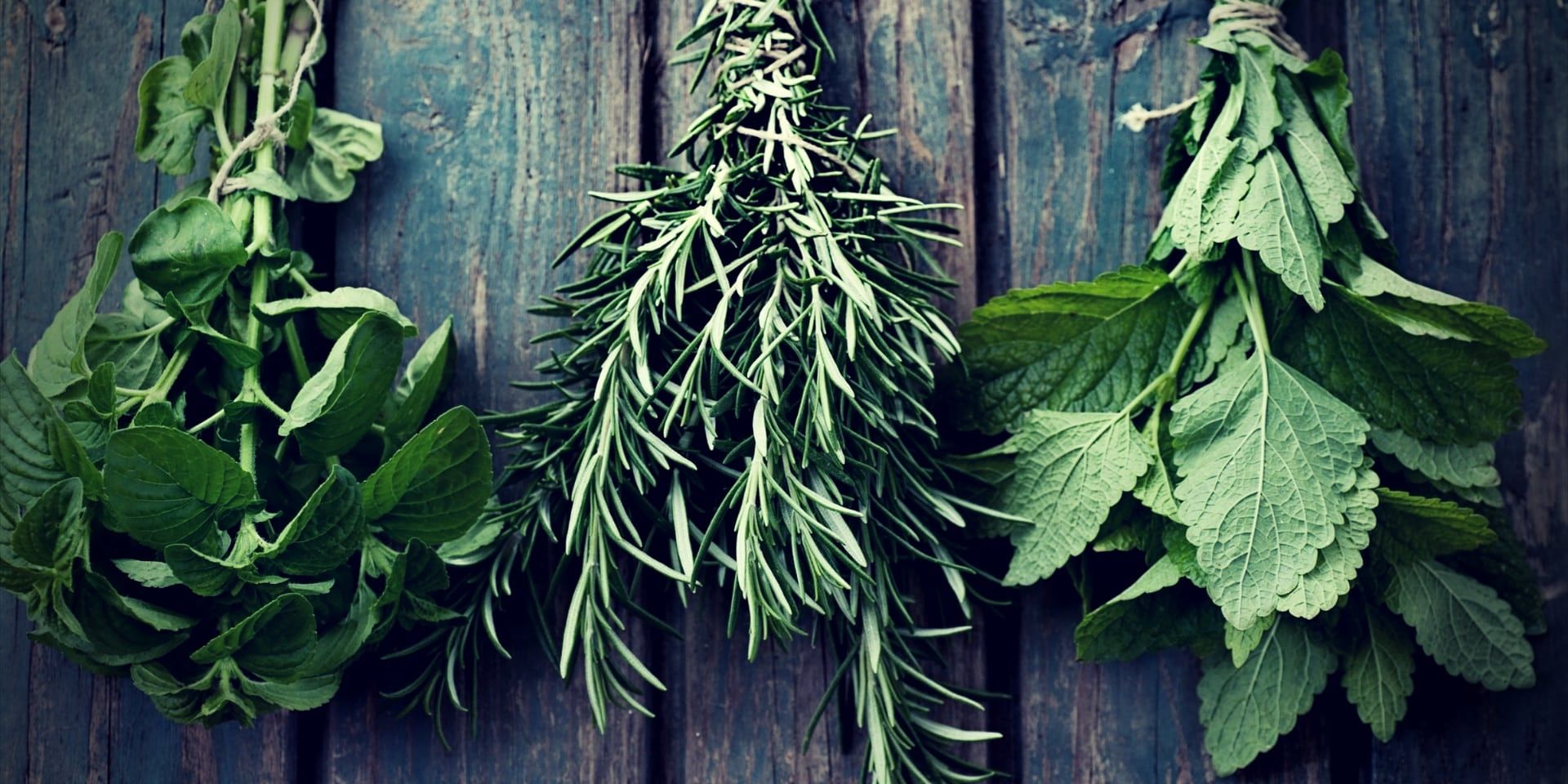 Testosterone Boosting Herbs fresh herbs