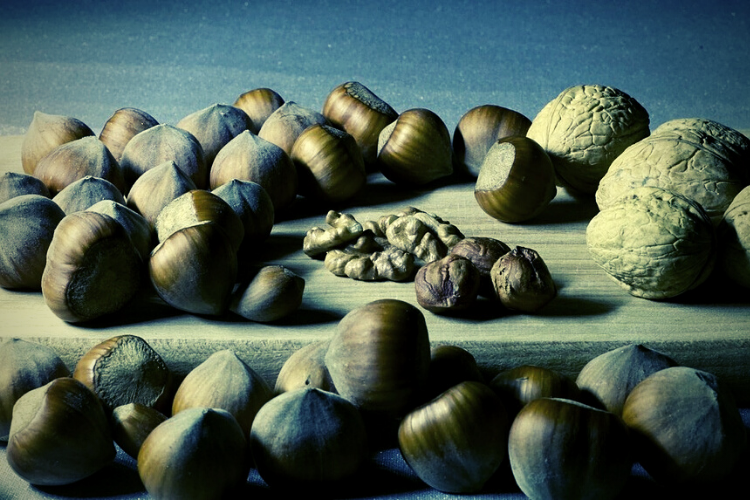 Nuts italian hazelnuts healthy